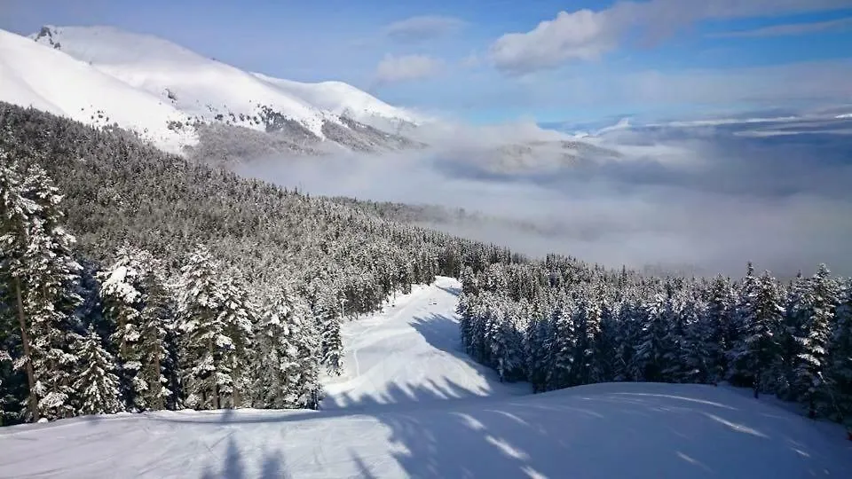 Fortuna Luxury Apartment Bansko