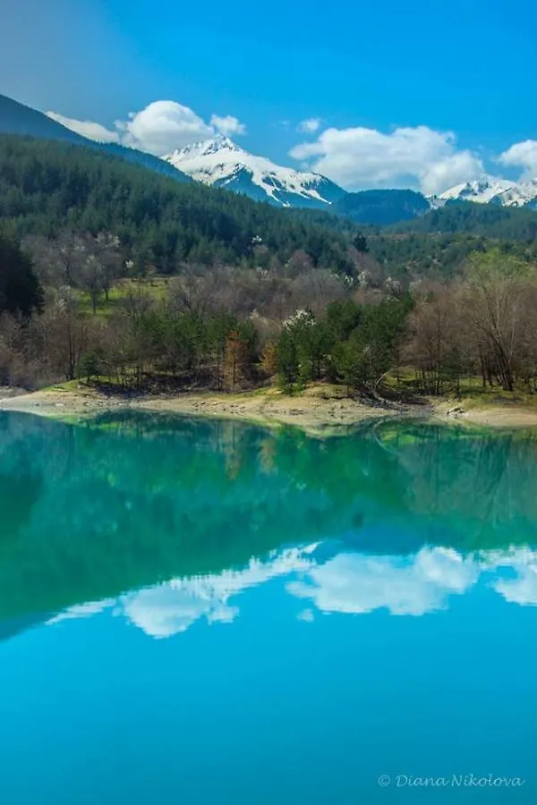 Fortuna Luxury Apartment Bansko